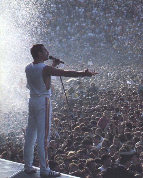 The audience in the palm of his hand. Mr Fahrenheit, Queen Bohemian Rhapsody, Band Poster, Freddy Mercury, Queen Photos, Its A Mans World, We Will Rock You, Queen Freddie Mercury, British Rock