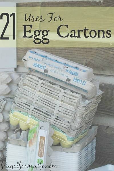 Egg Carton Uses, Micro Greens, Chicken Owner, Egg Container, Farm Wife, Eat A Lot, Egg Cartons, Egg Carton Crafts, Egg Crates