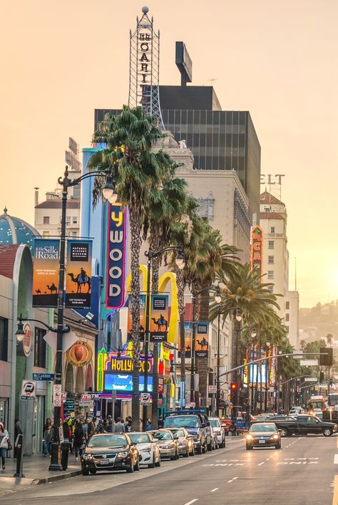 A stunning photo of Hollywood Boulevard at sunset. 📷: By View Apart Cheapest Places To Travel, La Nightlife, Koreatown Los Angeles, Los Angeles Aesthetic, Cheap Places To Travel, Places In California, Beach Shopping, Hollywood Boulevard, Santa Monica California