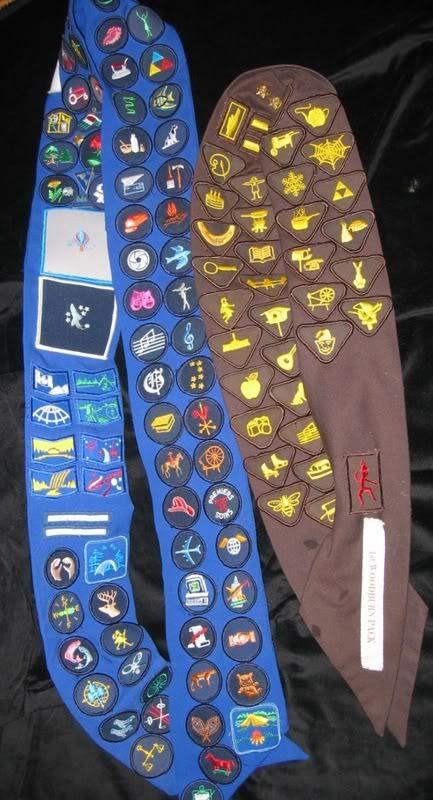 Dilemmas: What to do when a badge sash is full | Brownie Meeting Ideas Brownie Sash, Brownie Meeting Ideas, Girl Guides Of Canada, Brownies Girl Guides, Girl Scout Sash, Brownie Guides, Guide Badges, Brownie Badges, Girl Scouts Brownies