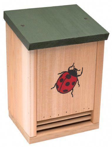 Wood Ladybug House #howtobuildabirdhouse #buildabirdhouse #birdhousetips Wood Ladybug, Ladybug House, Carpenter Bee Trap, Bug Hotel, Butterfly Houses, Bird House Plans, Insect Hotel, Bird House Kits, Bird Aviary