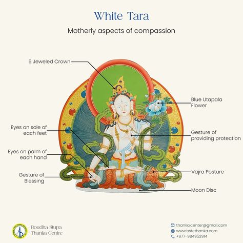 White Tara, embodiment of purity and compassion, illuminates the path with her gentle wisdom and boundless love. 💖 White Tara, also known as "Saptalocana" for her seven eyes - one on her forehead, two regular eyes, two on each palm of her hand and two on the sole of each foot - holds profound significance in Buddhism. Revered as the epitome of compassion and purity, she symbolizes maternal love and healing. With her compassionate gaze, she perceives the suffering of all beings, offering guid... Tara Goddess, Path To Enlightenment, Buddhist Mantra, Love And Healing, White Tara, Buddhist Symbols, Eagle Pictures, Buddhist Traditions, Thangka Painting