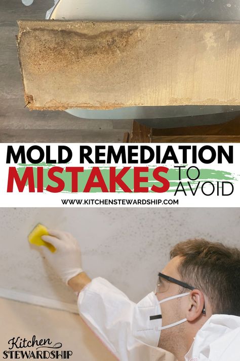 Don’t make these home mold remediation mistakes. Learn what to do instead during your mold remediation process. Mold Remediation Diy, House Mold, Toxic Mold, Plywood Floor, Mold Remediation, House Updates, Winter Comfort Food, Mold Growth, Fall Soups