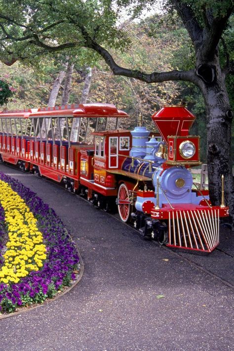 13 Crazy Things You Didn't Know About Michael Jackson's Neverland Ranch Train Jigsaw Puzzles, Facts About Michael Jackson, Neverland Ranch, Terra Do Nunca, Michael Jackson Neverland, Jermaine Jackson, Huff And Puff, Michael Jackson Smile, Falling Kingdoms