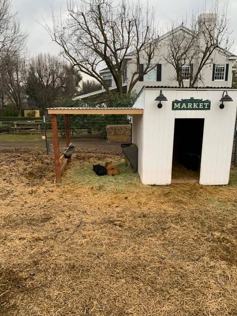 Pet Pig Outdoor Housing, Pallet House For Goats, Small Goat Shed, Pet Cow House, Fence For Goats Ideas, Cute Goat Enclosures, Outdoor Pig Pen, Lamb House Ideas, Outside Pig Pen Ideas