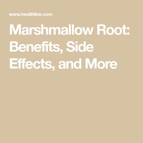 Benefits Of Marshmallow Root, Marshmallow Root Tea Benefits, Marshmallow Herb Benefits, Marshmallow Benefits, Marshmallow Root Benefits, Marshmallow Herb, Marshmallow Root Tea, Marshmallow Tea, Marshmallow Root Powder