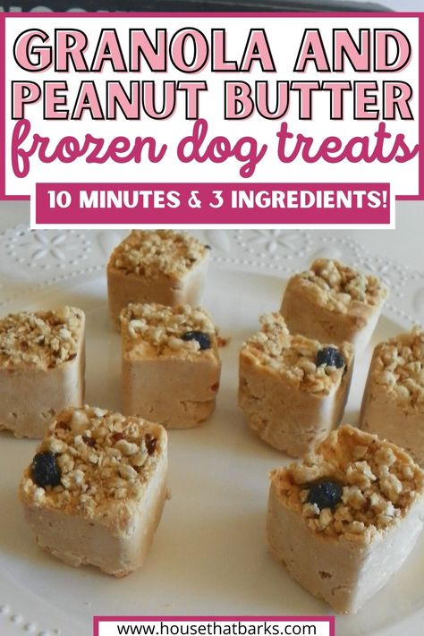 dog treat recipes, dog treat easy, dog treat peanut butter, dog treat frozen, dog treat healthy, dog treat silicone molds, dog treat recipe easy simple, homemade dog treats, frozen dog treat recipes No Bake Peanut Butter Dog Treats, Oatmeal Peanut Butter Dog Treats Easy, Peanut Butter Banana Dog Treats, Dog Treat Recipes Easy, Banana Peanut Butter Dog Treats Frozen, Frozen Dog Treats Recipes, Dog Treat Banana Peanut Butter, Frozen Dog Treats Homemade, Greek Yogurt And Peanut Butter