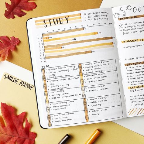 Study Tracker, Bullet Journal Spread Ideas, Food Technologist, Journal Spread Ideas, New Bullet Journal, Tracker Bullet Journal, Bullet Journal Work, Dutch Food, School Journals