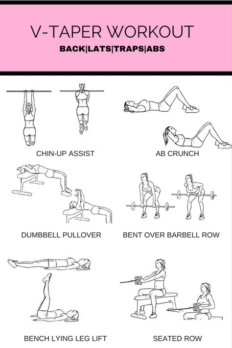 At Home Back Exercises, Weight Training Workouts For Women, Lats Workout, Training Workouts For Women, V Taper, Lat Workout, Back Workout At Home, Weight Routine, V Cut Abs