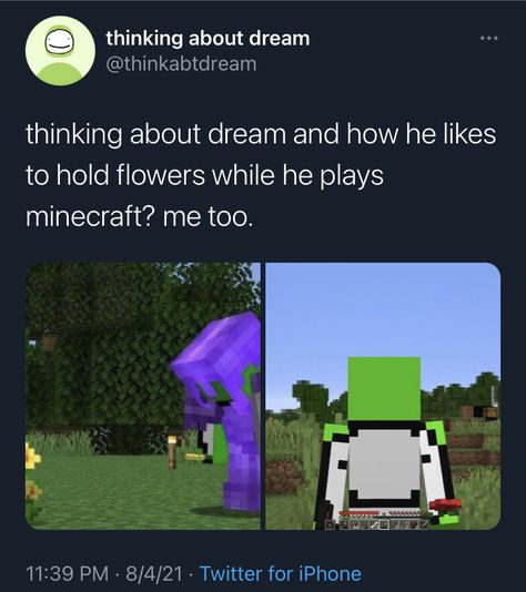 Textiles Moodboard, Dream Twitter, Minecraft W, Minecraft Pictures, New Twitter, How To Play Minecraft, British Boys, Minecraft Youtubers, Funny Tumblr Posts