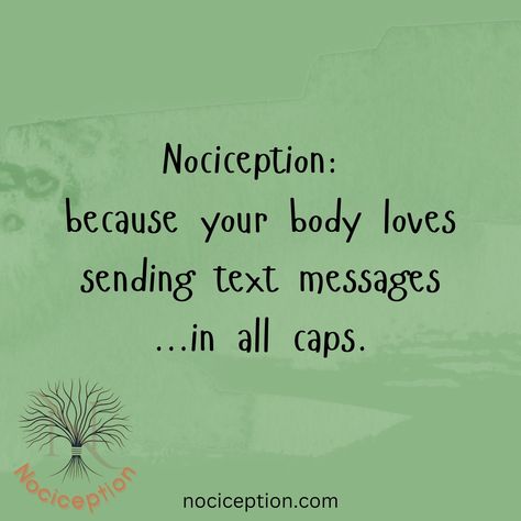 When your body’s messages are loud and clear. 📱#PainSignals #NerveScience Loud And Clear, Body Love, Nerve, Text Messages, Science