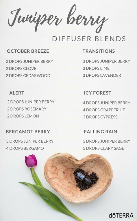 Juniper Berry Diffuser Blends clove essential oil diffuser blends! #doterra #diffusorblend #diffusorrezept #ätherischeöle #ätherischesöl #aromatherapie #wacholderbeere #wacholderöl #homemadeessentialoils Juniper Berry Essential Oil, Essential Oils For Babies, Doterra Diffuser Blends, Doterra Essential Oils Recipes, Clove Essential Oil, Essential Oil Diffuser Recipes, Oil Diffuser Recipes, Essential Oil Blends Recipes, Essential Oil Mixes