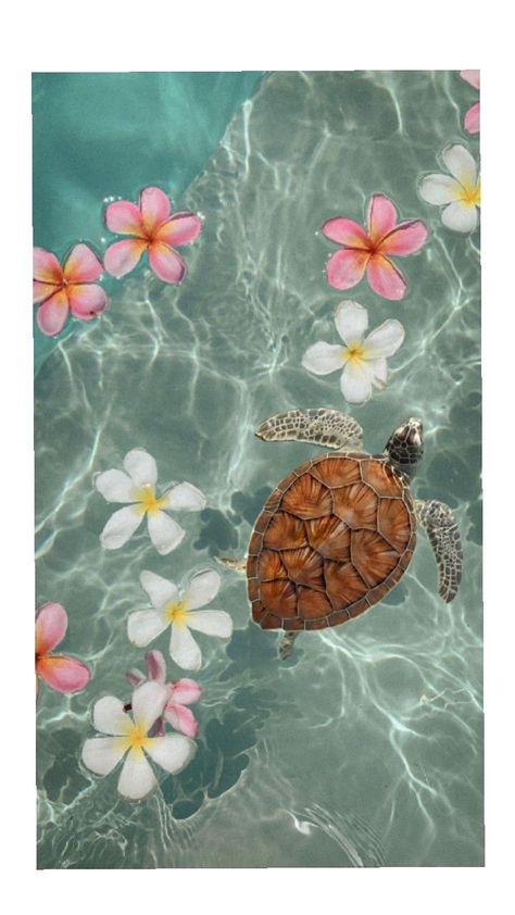 Cute Turtle Wallpaper, Sea Turtle Aesthetic, Beach Core Aesthetic, Aesthetic Turtle, Turtle Aesthetic, Pictures Of Turtles, Sea Turtle Wallpaper, Turtle Background, Beachy Wallpapers