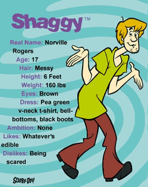 Norville Rogers, Scooby Doo Shaggy, Hillbilly Party, Fred Jones, Scooby Doo Birthday Party, Scooby Doo Pictures, Scooby Doo Mystery Inc, Scooby Doo Images, Shaggy Rogers