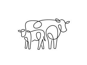 ::::♡م ♡ ✿⊱╮☼ ☾ PINTEREST.COM christiancross ☀❤•♥•* ✨♀✨ :::: Tuesday859 Cows Tattoo, Cow Logo, Cow Tattoo, Tier Tattoo, Vegan Tattoo, Western Tattoos, Desain Editorial, Farm Logo, Dairy Cows