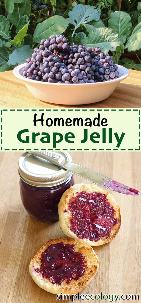 Concord Grape Recipes, Grape Jam Recipe, Homemade Grape Jelly, Concord Grape Jelly, Concord Grapes, Grape Jam, Home Canning Recipes, Jam Recipes Homemade, Grape Recipes