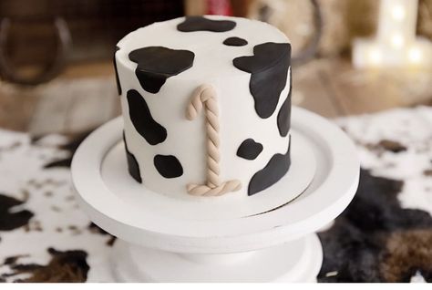 Cow Themed Birthday Party, Cow Print Cakes, Western Birthday Cakes, Cow Birthday Cake, Cowboy Birthday Cakes, I Love Cows, Baby First Birthday Themes, Rodeo Birthday Parties, Cow Birthday Parties