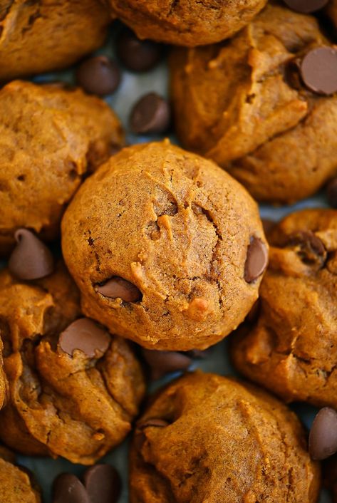 Pumpkin Chocolate Chip Cookies - Life In The Lofthouse Best Soft Pumpkin Chocolate Chip Cookies, Harmons Pumpkin Chocolate Chip Cookies, Soft Pumpkin Chocolate Chip Cookies, Pumpkin Chocolate Chip Cookies Easy, Pumpkin Fritters, Pumpkin Chip, Soft Chocolate Chip Cookies, Pumpkin Chocolate Chip Cookies, Pumpkin Chocolate Chips