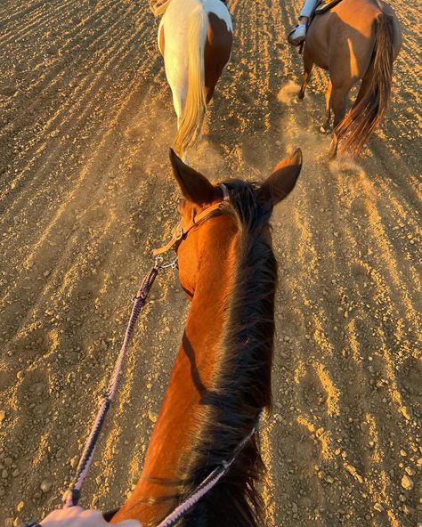 i think i want to live on a ranch Ranch Aesthetic, Ranch Living, Ranches Living, I Want To Live, Yee Haw, Ranch Life, Simple Living, Tulum, Montana