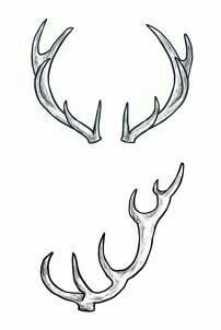 Deer Antler Drawing, Deer Antlers Drawing, How To Draw Deer, Antler Drawing, Antlers Drawing, Draw Deer, Antler Tattoos, Antler Tattoo, Deer Drawing