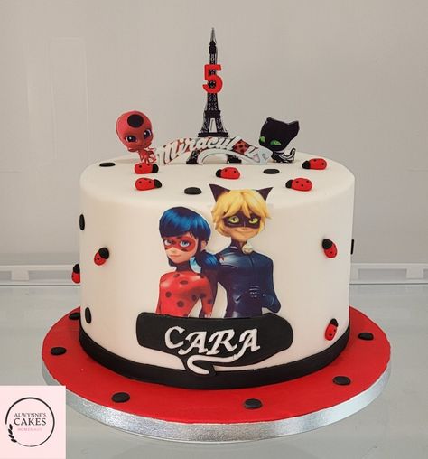 Lady Buggy And Cat Noir Cake, Lady Buggy Cake, Miraculous Ladybug Cake, Miraculous Ladybug Party, Ladybug Cakes, 1st Bday Cake, Ladybug Cake, 25th Birthday Cakes, Ladybug Birthday Party