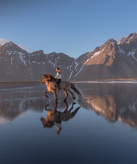 Horse Riding Photography, Icelandic Ponies, Iceland In May, Pony Riding, Island Horse, Icelandic Horses, Icelandic Horse, Horse Photos, Full Of Love