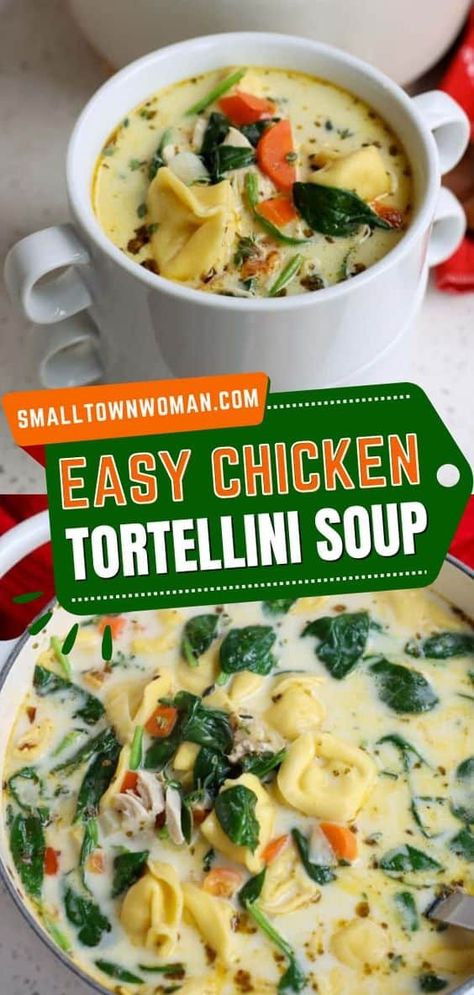 Easy to make a fall soup recipe! This Chicken Tortellini Soup recipe features roasted chicken, onions, bell peppers, carrots, cheese tortellini, and spinach in a perfectly seasoned creamy chicken broth. Make this hearty soup in fall comfort food for dinner! Creamy Chicken Tortellini Soup, Creamy Chicken Tortellini, Cheese Tortellini Soup, Spinach Tortellini Soup, Chicken Tortellini Soup, Spinach Tortellini, Chicken Tortellini, Tortellini Recipes, Chicken Gnocchi Soup