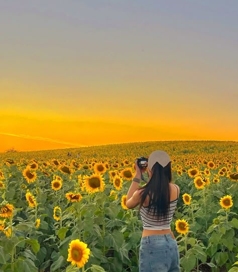 Sunflower Garden Photoshoot, Sunflower Photoshoot Ideas, Sunflower Field Aesthetic, Sunflower Poses, Sunflower Field Pictures, Sunflower Photoshoot, Jelly Wallpaper, Flower Photoshoot, Sunflower Pictures