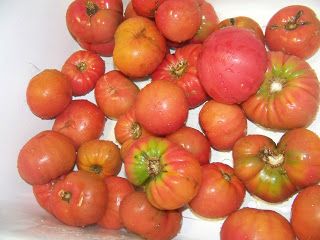 Frozen Tomatoes, Canning Tomatoes Recipes, Freezing Tomatoes, Canning Ideas, Canning Tomatoes, Home Canning, Tomato Recipes, Fermenting, Fresh Tomatoes