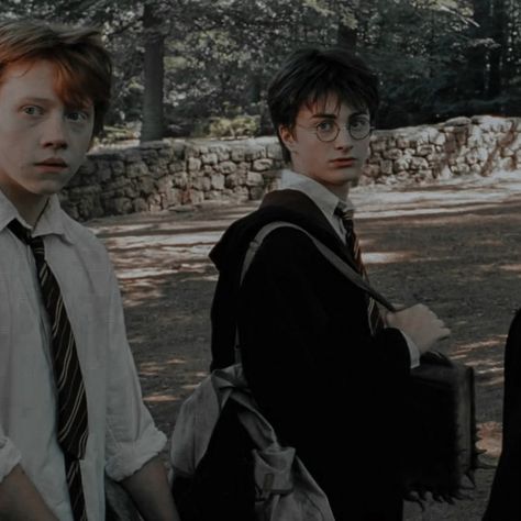 Harry And Ron Friendship, Draco And Ron, Harry And Ron, Ron And Harry, Ronald Weasley, Neville Longbottom, The Prisoner Of Azkaban, Rupert Grint, Golden Trio