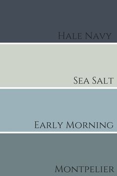 Hale Navy Living Room, Navy Living Room, Sherwin Williams Sea Salt, Hale Navy Benjamin Moore, Kitchen Dining Room Combo, Sea Salt Sherwin Williams, Hale Navy, Living Room Dining Room Combo, Benjamin Moore Colors