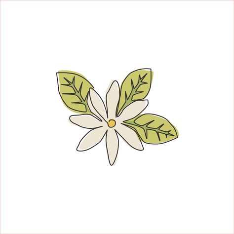 Jasmine Flower Drawing, Drink Logo, Flat Drawings, Flower Flat, Jasmine Tea, Single Line Drawing, Drinks Logo, Flower Icons, Jasmine Flower