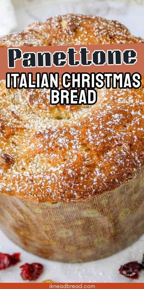 Italian panettone is a classic Christmas bread that's loved for its sweet, fruity flavor and rich, buttery texture. This traditional Italian dessert is often enjoyed during the holiday season, but it's delicious any time of year.With its distinctive dome shape and festive decorations, panettone makes a beautiful and indulgent addition to any holiday celebration. Sweet Yeast Bread Recipes, Easy Panettone Recipe, Holiday Bread Recipes, Italian Christmas Bread, Artesian Bread, Sweet Yeast Bread, Panettone Cake, Panettone Bread, Italian Panettone