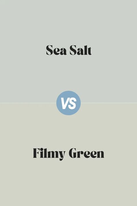 Sea Salt vs. Filmy Green Filmy Green Sherwin Williams, Filmy Green, Sea Salt Color, Sherwin Williams Paint, Master Ensuite, Nature Sea, Sherwin Williams Paint Colors, Trim Color, Coordinating Colors