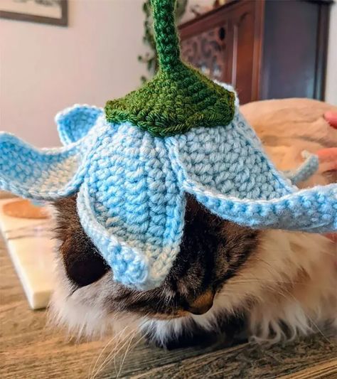 33 Free Crochet Cat Hat Patterns Cat Hat Pattern, Crochet Dog Hat, Cat Hats, Crochet Flower Hat, Crochet Cat Hat, Crochet Fairy, Hat Patterns Free, Animal Crochet, Flower Hat