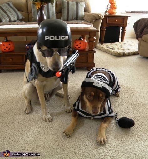 Police Dog and Prisoner Costumes - Halloween Costume Contest via @costumeworks Big Dog Halloween Costumes, Costumes For Pets, Dog Costumes Halloween Large, Halloween Prisoner Costume, Cute Dog Halloween Costumes, Cute Dog Costumes, Prisoner Costume, Dog Costumes Funny, Puppy Costume