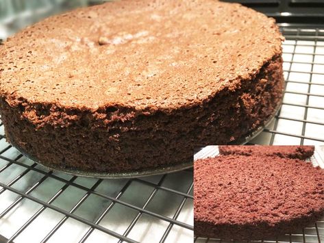 Gluten Free Chocolate Sponge Cake Gluten Free Chocolate Sponge Cake, Chocolate Sponge Cake Recipe, Gluten Free Sponge Cake, Cream Ganache, Cream Pastry, Two Layer Cakes, Strawberry Pie Filling, Raspberry Cupcakes, Chocolate Sponge Cake