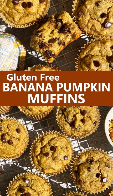 These gluten free banana pumpkin muffins are soft and chewy, made with pumpkin puree and only sweetened with bananas (no sugar added). This healthy pumpkin banana muffin recipe is paleo, gluten free and dairy free - kids love it too! Banana Pumpkin Muffins, Simple Muffins, Paleo Pumpkin Muffins, Pumpkin Banana Muffins, Gluten Free Pumpkin Muffins, Pumpkin Muffin Recipes, Pumpkin Chocolate Chip Muffins, Mind Diet, Healthy Muffin Recipes