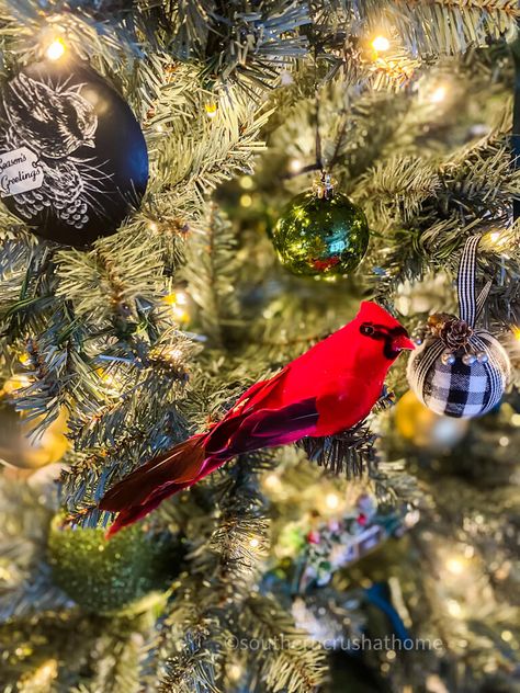 If You See a Cardinal at Christmas, Here's What it Can Mean Cardinal Christmas Tree Ideas, Meaning Of Candy Cane, Cardinal Birds Meaning, Bird Meaning, Cardinal Decor, Farmhouse Style Christmas, Bird Stand, Christmas Tree Ideas, Cardinal Birds