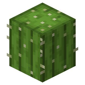 Minecraft Cactus, Desert Biome, Minecraft, Cactus, Canning, Nature