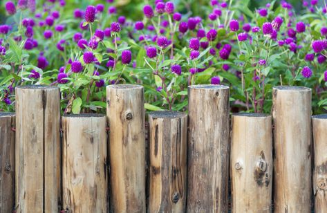 5 Flower Bed Edging Ideas: How to Edge a Garden Bed - 2023 - MasterClass Flower Beds Diy, Wooden Garden Edging, Log Planters, Flower Bed Borders, Flower Bed Edging, Log Planter, Garden Wood, Garden Border, Gardening Landscaping