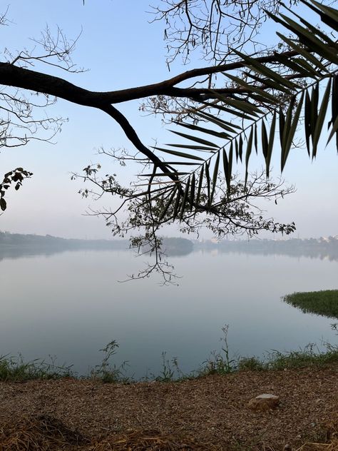 agara lake, HSR layout Hsr Layout, Bangalore, Layout, Lake, Water, Quick Saves, Nature