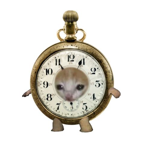 Cat As Object Meme, Crying Cat Costume, Banana Cat, Cat Dressed Up, Cat Crying, Funny Looking Cats, Cat Pfp, Cat Costume, Vintage Pocket Watch