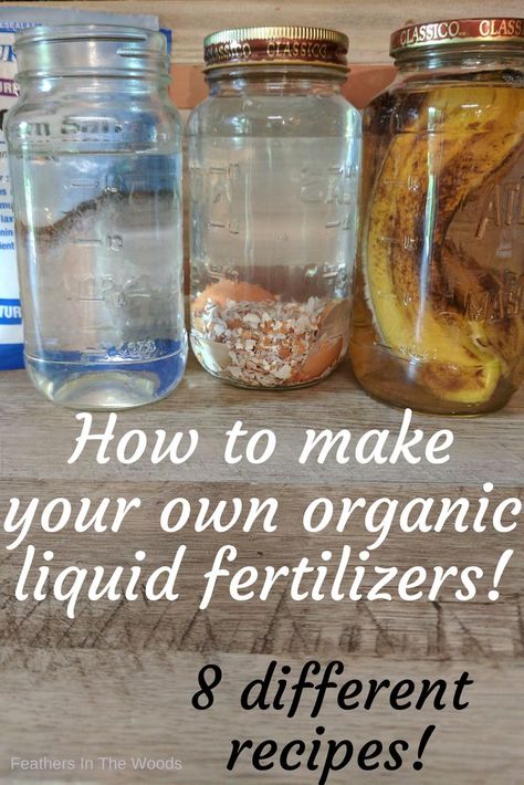 Organic liquid fertilizers in jars, homemade Homemade Plant Fertilizer, Garden Hack, Organic Liquid Fertilizer, Diy Fertilizer, Garden Hacks Diy, Garden Prepping, How To Make Compost, Kitchen Scraps, Garden Remedies