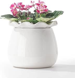 Fayoula Self Watering Plant Pot, 6 Inch African Violet Pots Maintenance, Ceramic Self-Watering Planter for Indoor Plants - Ideal Flower Pot for Thriving Indoor Gardens Self Watering Ceramic Pot, African Violet Pots Self Watering Ceramics, African Violet Pots, Ceramic Orchid Pot With Holes, Self Watering Plants, Self Watering Pots, Thriving Garden, Inside Plants, African Violet