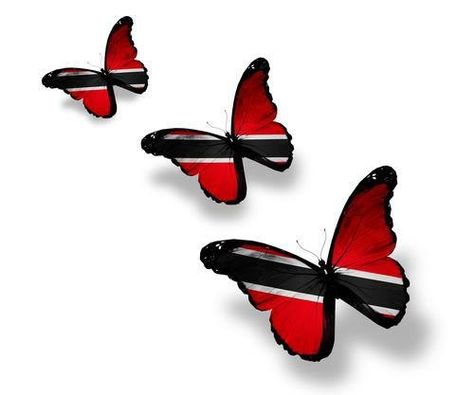 Trini butterfly's!!!!!!!! Trinidadian Tattoo Ideas, Trinidadian Tattoos, Trinidad And Tobago Tattoo Ideas, Caribbean Tattoo Ideas For Women, Trinidad Tattoo Ideas, Dark Skin Tattoo Ideas, Trinidad Tattoo, Father Daughter Tattoo, Trinidad And Tobago Map