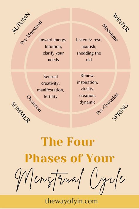 Your menstrual cycle consists of four phases. These four phases move in a cycle of growth and decomposition like the seasons. We are different everyday as we move along this continuum. Period Routine, Period Tea, Cycle Care, Menstrual Blood, Menstrual Cycle Phases, Feminine Lifestyle, Period Cycle, Hormone Diet, Healthy Period