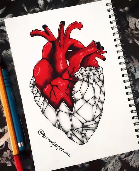 I've got a diamond heart that you can't break. ✨♥️ ______________________________________ #Diamond #Heart #StoneHeart #HumanHeart #AnatomicalHeart #GeometricArt #PositiveVibes #StayingStrong #ShineBrightLikeADiamond #TattooIdea #SupernovasArt Another original piece by yours truly w/o reference. Colored pencils on red marker + black ink pen + pencil. Heart Drawing Ideas, Romantic Sketches, Human Heart Drawing, Marker Black, Anatomical Heart Tattoo, Heart Artwork, Drip Art, Tattoos For Lovers, Heart Sketch