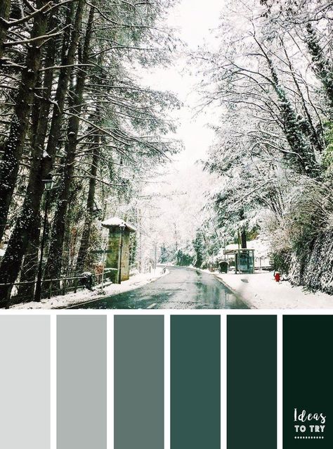 Green Color Inspiration, Winter Wedding Palette, Green Color Combinations, Winter Color Palette, Home Painting, Green Inspiration, Green Color Schemes, Grey Color Scheme, Neutral Paint