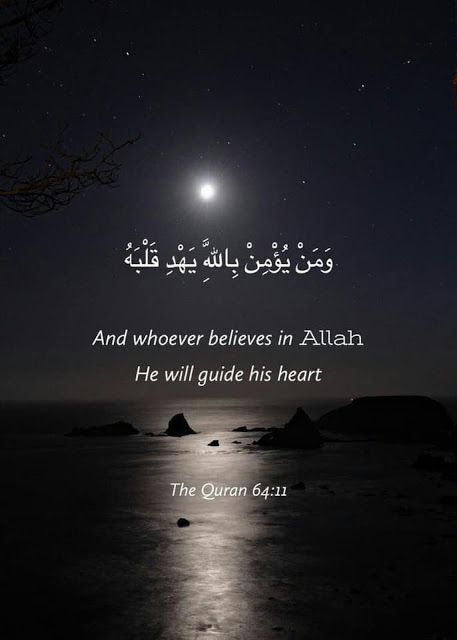 Afuni's Knowledge Hub : Divinely Assurance To Muslim Best Ayat Of Quran, Coran Quotes, Arabic Quote, Religion Quotes, Best Quran Quotes, Ayat Quran, Coran Islam, Beautiful Quran Verses, Ayat Al-quran